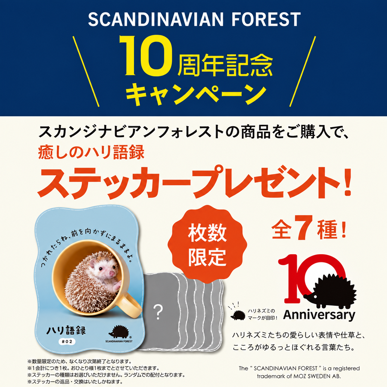 ノベルティキャンペーン開催中🦔