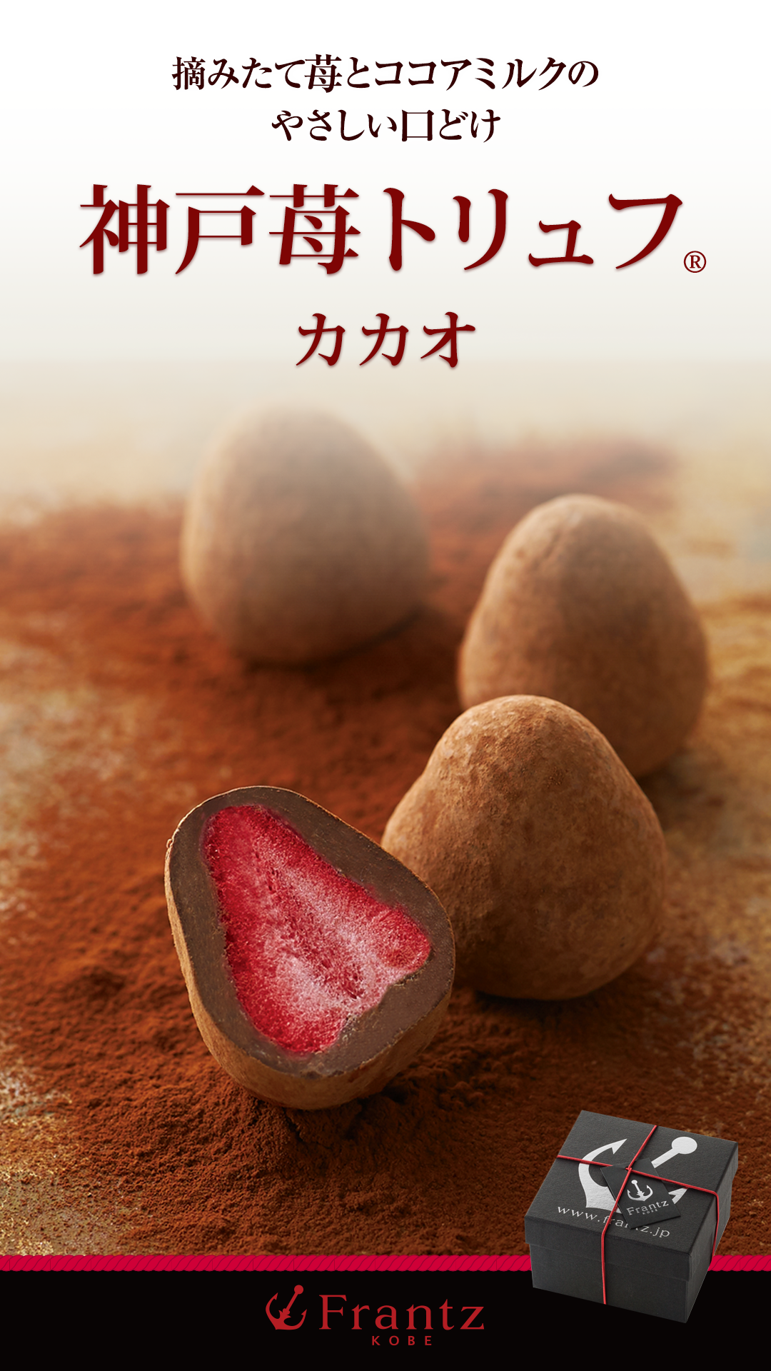 神戸苺トリュフ カカオ